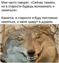 UJdVQHTtzqw.webp