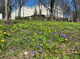 IMG_6690.webp