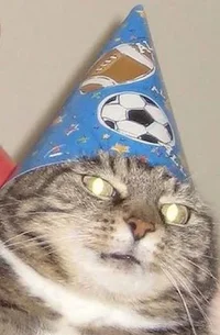 1481230679158226837.webp