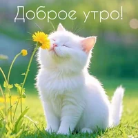 b9f8b8311f5129a71c61ad464dcbdad2.webp