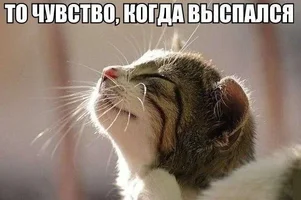 1000133542.webp