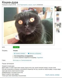 7768875.webp