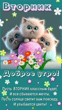 e6f51a3d21b17dae53588d7a4736d98a.webp