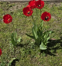 20260506_130545.webp