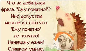 IMG_20250105_163725.webp