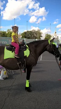 IMG-20160817-WA0003.webp IMG-20160817-WA0003.webp