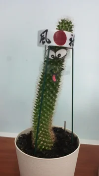 IMG_20160822_093810.webp IMG_20160822_093810.webp