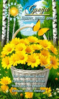 491edc728b2a0b278d30ce1ec2e25e91.webp