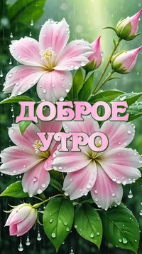 3beeb1990cc8905effe88df70a7bab80.webp