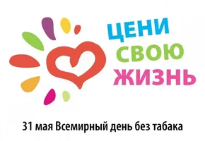 IMG_0224.webp