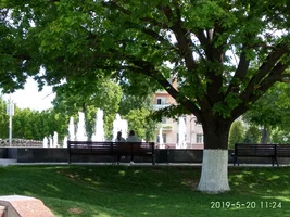 IMG_20190520_112431_HDR.webp