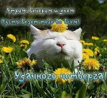 5da19a8b889ca38811a1bd1a64bdc2c9.webp