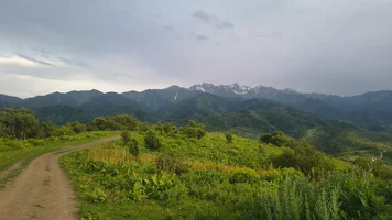 IMG_20260612_174524905_HDR.webp