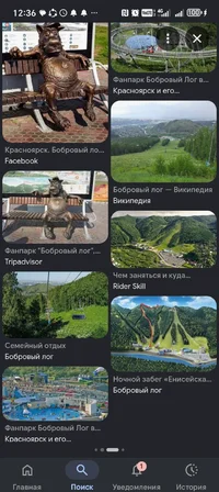 Screenshot_20260702_123629_com_google_android_googlequicksearchbox_GoogleAppActivi.webp