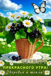 chetverg-prekrasnogo-utra-zdorovya-i-tepla.webp