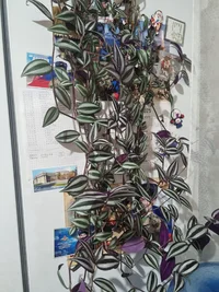 20260721_224359.webp