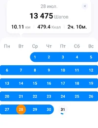 Screenshot_2026-07-31-11-56-04-750_pedometer.stepcounter.calorieburner.pedometerforwalking-edit.webp