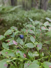 IMG_20260805_200512.webp