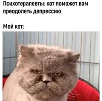 D67D5DC3-3612-4712-87C6-CAC90C14849D.webp D67D5DC3-3612-4712-87C6-CAC90C14849D.webp