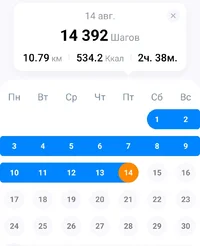 Screenshot_2026-08-14-18-25-40-104_pedometer.stepcounter.calorieburner.pedometerforwalking-edit.webp
