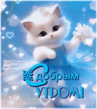 IMG_8936.gif