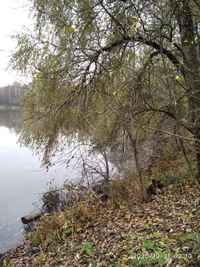 IMG_20201031_121028.webp