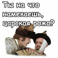 d4613b41785974090c6256244d6220f2.webp