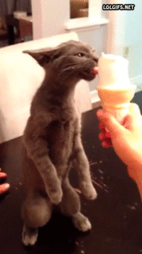 orig (1).gif orig (1).gif