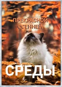 prekrasnoj-osennej-sredy.webp