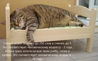1789311108_33.webp