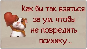 4bvno8tDm4M.webp