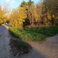 IMG_20260930_171237_326.webp