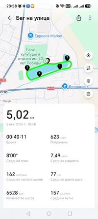 Screenshot_20261006_205804_com_hihonor_health_SportRecordDetailOneNessActivity.webp