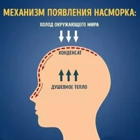 1000034283.webp