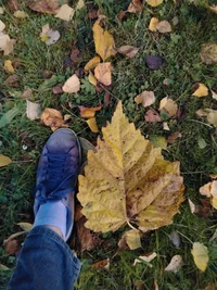 IMG_20261010_180430.webp