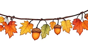 загружено (1).webp
