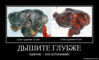 2012101501514762 (1).webp 2012101501514762 (1).webp