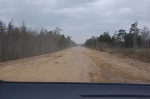 DSC_1555-1.webp DSC_1555-1.webp