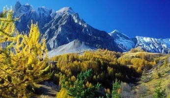 прованс 3.webp