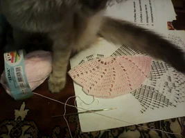 IMG_20161002_215415.webp IMG_20161002_215415.webp