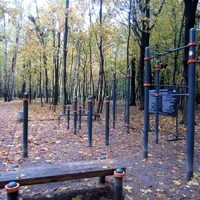 ск4.webp