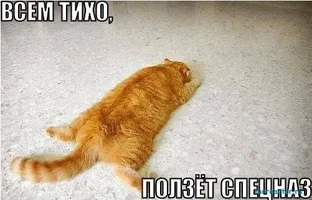 1371978235_1371670030_hgjh.webp