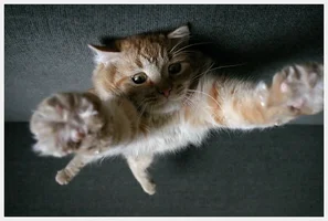 C__Data_Users_DefApps_AppData_INTERNETEXPLORER_Temp_Saved Images_1_picwumkw.webp