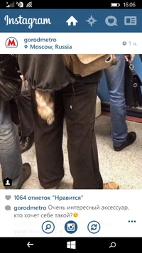 wp_ss_20161106_0001.webp wp_ss_20161106_0001.webp