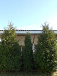 upload_2016-11-6_18-16-22.webp upload_2016-11-6_18-16-22.webp