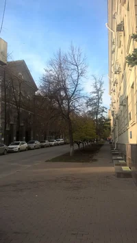 WP_20161108_13_21_28_Pro.webp WP_20161108_13_21_28_Pro.webp