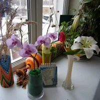 цветы 13.11.16.webp