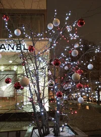 IMG_2016-11-19_212133.webp IMG_2016-11-19_212133.webp