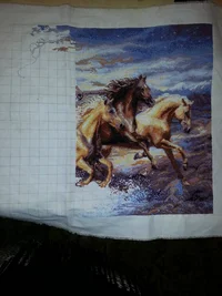 20161127_143259.webp 20161127_143259.webp