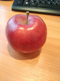 IMG_2016-11-29_131640.webp IMG_2016-11-29_131640.webp